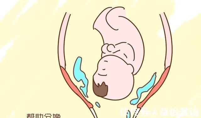 生命水|宝宝的生命水为什么叫“羊水”,而不叫“牛水”,就是水吗