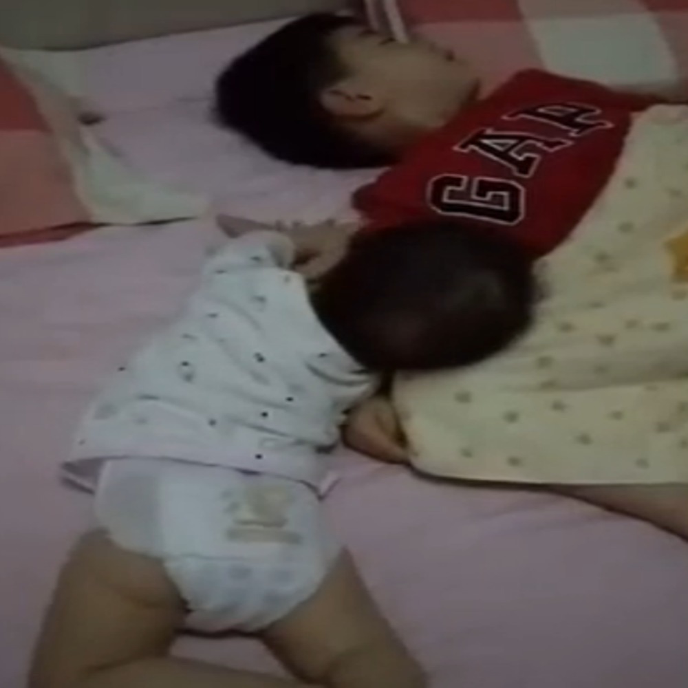小皇帝|妹妹把熟睡的哥哥吵醒,接下来哥哥的举动好暖,网友:满满的宠爱