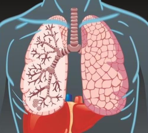 龙眼|体内患有结节的人，尽量远离这三种水果，早了解早受益