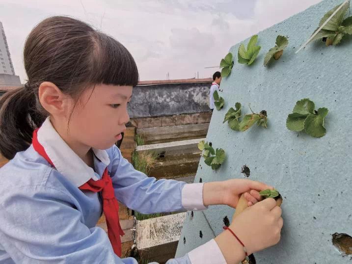 黄伟星|大司巷小学教育集团总校长黄伟星： 育人为本 打造小学和悦教育