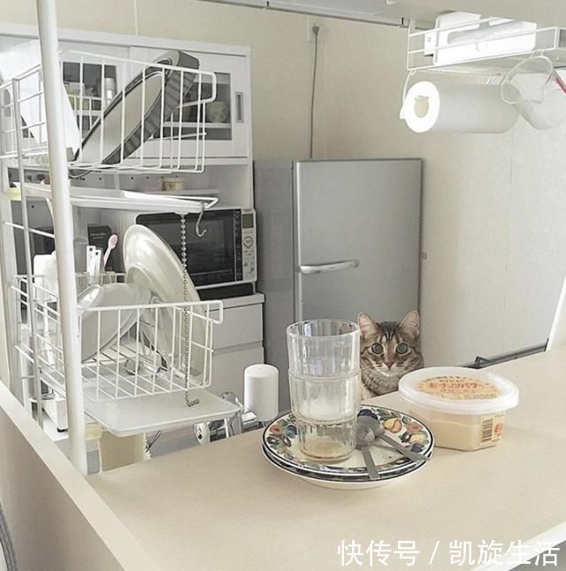 水槽处|别看日本厨房不大,用起来却十分顺手,仔细观察才发现其精髓