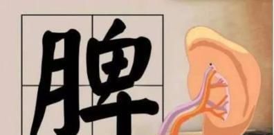 百病皆由脾衰而生！脾虚了，压压手穴，就能手到病除，把虚补回来