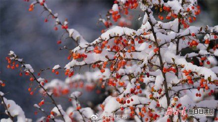 秋雪|宛若童话世界！一场秋雪惊艳马蹄寺风景区