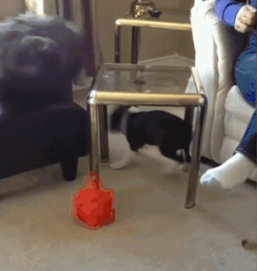 |搞笑GIF：今天和女朋友出门忘记带药怎么办