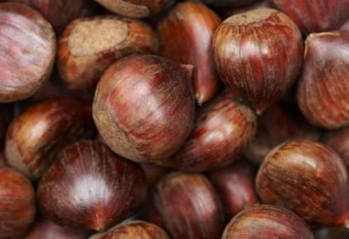 栗子|机智的人爱吃三种食物，滋补养颜，皮肤白皙，建议多吃