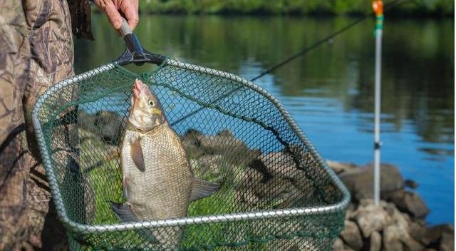 钓鱼高手分享如何选择鱼钩，只买这四种钩型就够了，绝对好用！