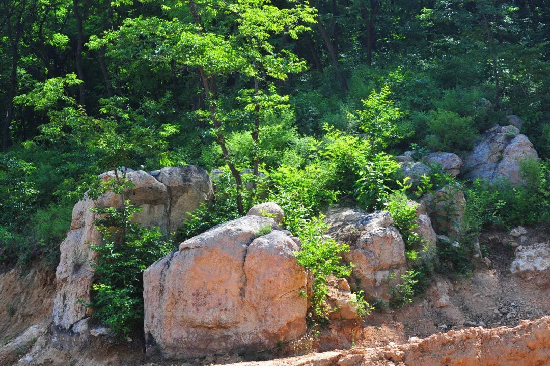 甜桃|山东电视台新闻频道播出—《宁阳：秋抚凤仙山波漾玉女湖》