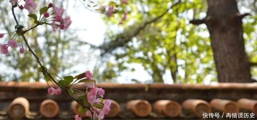 人生|《菜根谭》:凡事退一步,人生更开阔