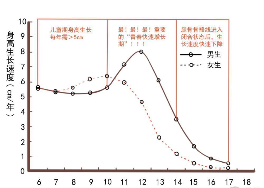发育期|孩子13岁,吃了它,身高永远停在了1米4……