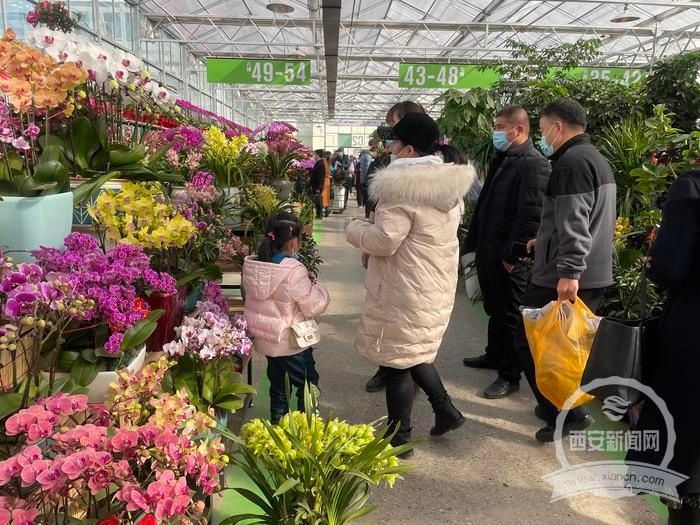 逛逛老厂房改造的花市 幸福像花儿一样