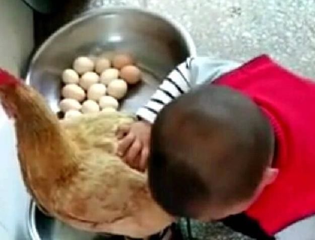 父母们|妈妈在卫生间洗衣服,听到外面有动静,走进一瞧笑啦