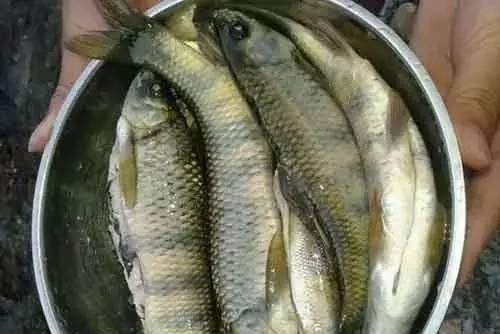 胃不好的人，還能喝牛奶吃海鮮嗎？營養師告訴你真正養胃的方式