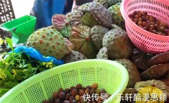 莲藕|秋后上市的5种健康蔬菜,不吃肉都要买,不打农药,常吃身体好