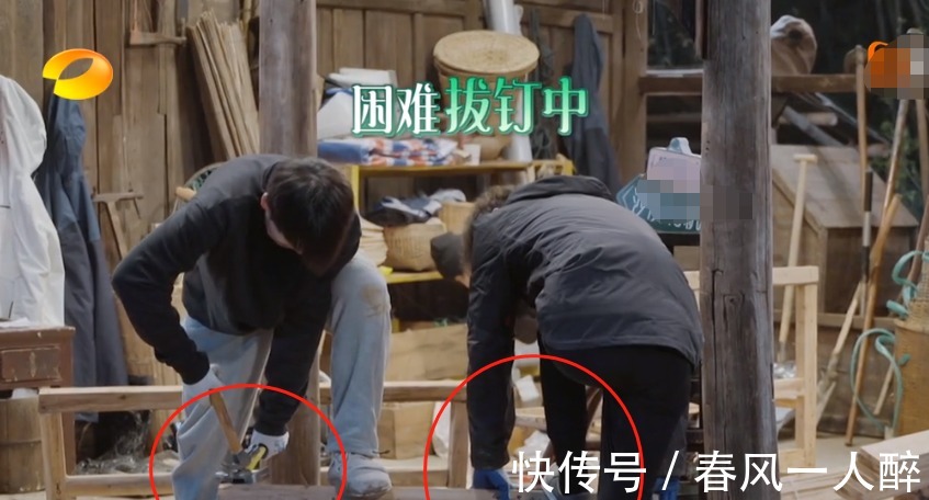 干活|《向往5》干活被质疑作秀,看嘉宾种树时的衣服,是否摆拍很显然