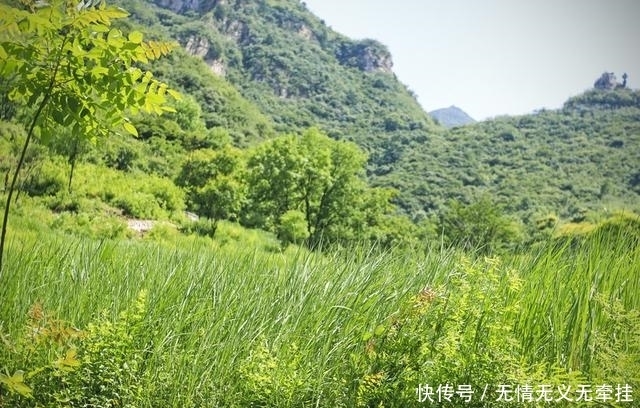 这个5A景区边的优美山地，被誉为河南九寨沟，趁未收门票赶紧去