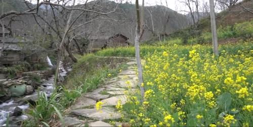 中年|云南临沧百年古村落，石路石房都与石头有关，民风淳朴好有烟火气