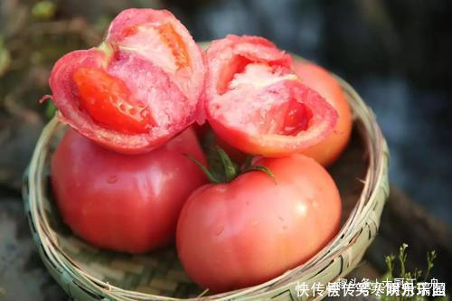 江一舟|才知道，原来辨别“激素番茄”这么简单，牢记4点，别再买错了