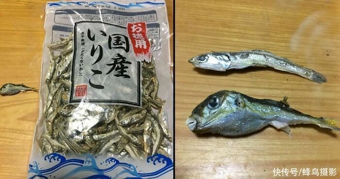 黑暗料理|35个活久未见的西餐，黄瓜中间塞着香肠，美国鸡蛋灌饼跟谁学的