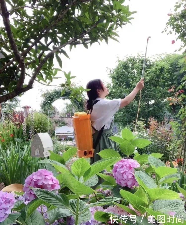 满园|2年前,买了一栋带院子的房子,在高楼喧嚣中建一个“梦幻花园”