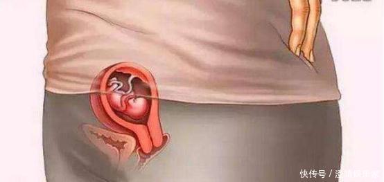 宝宝是怎么被慢慢孕育出来的，十张过程图，一切来之不易