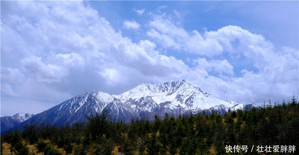 青草|初夏卓尔山白雪映青草，美得圣洁无暇卓尔不群！