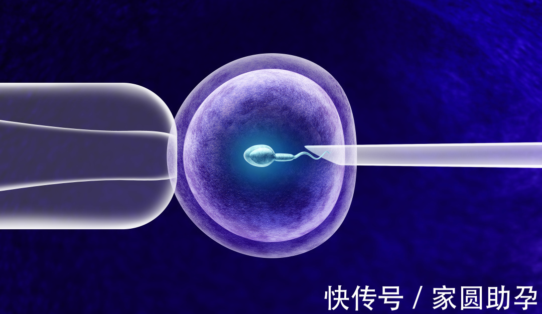 生育|“双人运动”也有生命危险?23岁小姑娘新婚夜“见红”险些丧命!