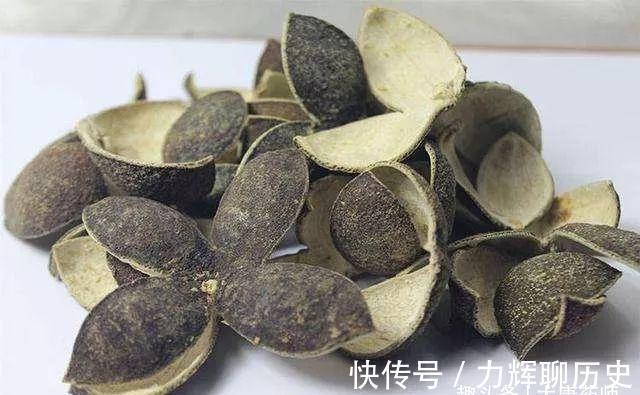 破气|青皮，一味顺气的良药！学会3大妙用法，顺心又顺气，一顺百顺