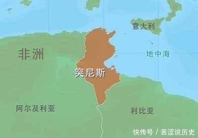 迦太基亡国后的惨状:男的阉割为奴,女的卖去做妓,地里还被撒盐