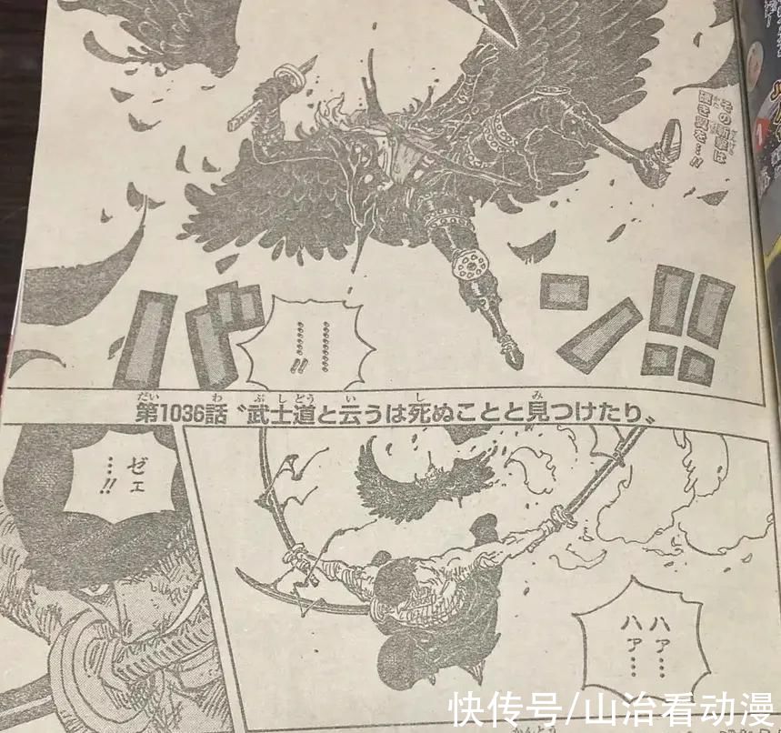 奎因|海贼王1036话：索隆击败炎灾烬，掉落鬼岛，凯多是乔伊波伊？