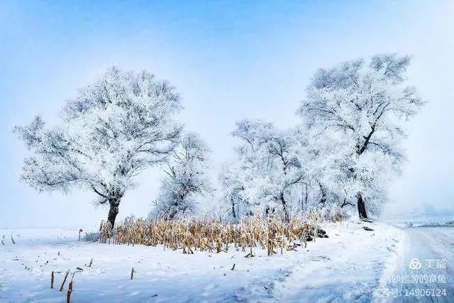 童话|冰天雪地，童话吉林