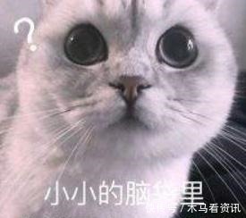 柯南才是真正的手机收藏者,仅仅一年级的他居然拥有6个手机