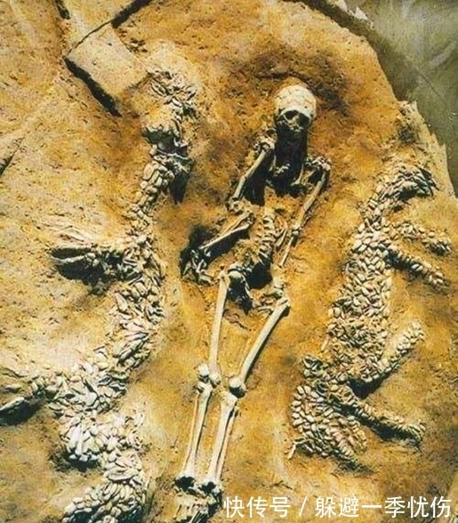 盘点&龙是否真实存在过?盘点三大实物证据,考古学家:铁证如山!