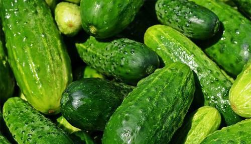 女人经常吃黄瓜，人人夸你“一枝花”，美白祛斑、保湿祛皱防衰老