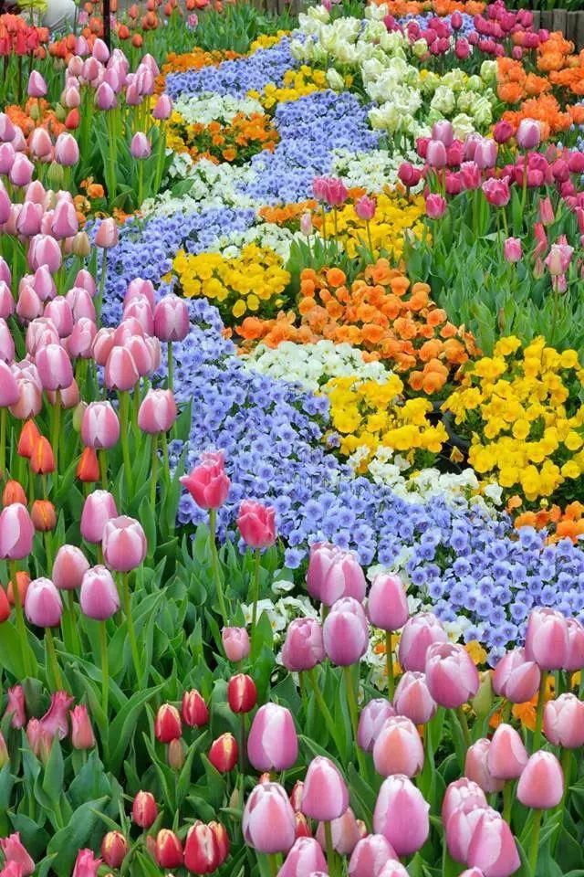 心中有花园，自然有花开