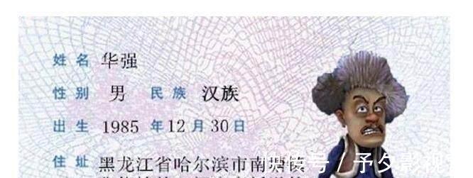 《熊出没》身份证,光头强住址太搞笑了,纳雅居然是92年出生的