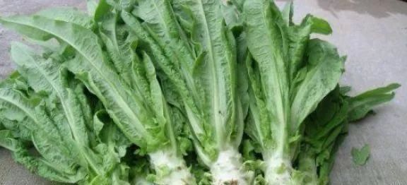 不焯水不能吃的四种蔬菜, 很多人不懂, 吃了肠胃不适
