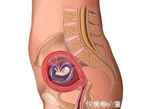 下腹部|孕晚期,孕妇有几种感受,说明胎儿已顺利入盆,附胎儿入盆图解