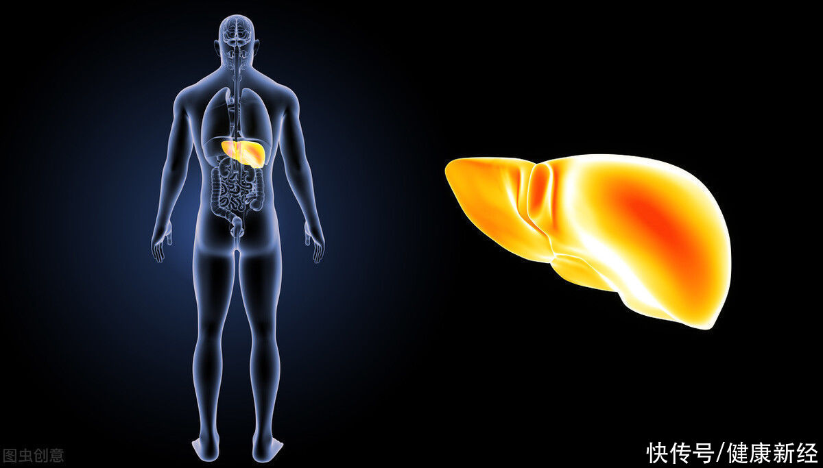 肝脏|脂肪肝的“罪魁祸首”被查出了！想要拥有好的肝脏，应该这样做