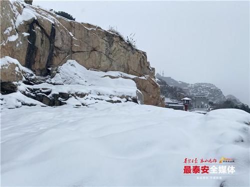 下雪|泰山又下雪啦！青山原不老，为雪而白头