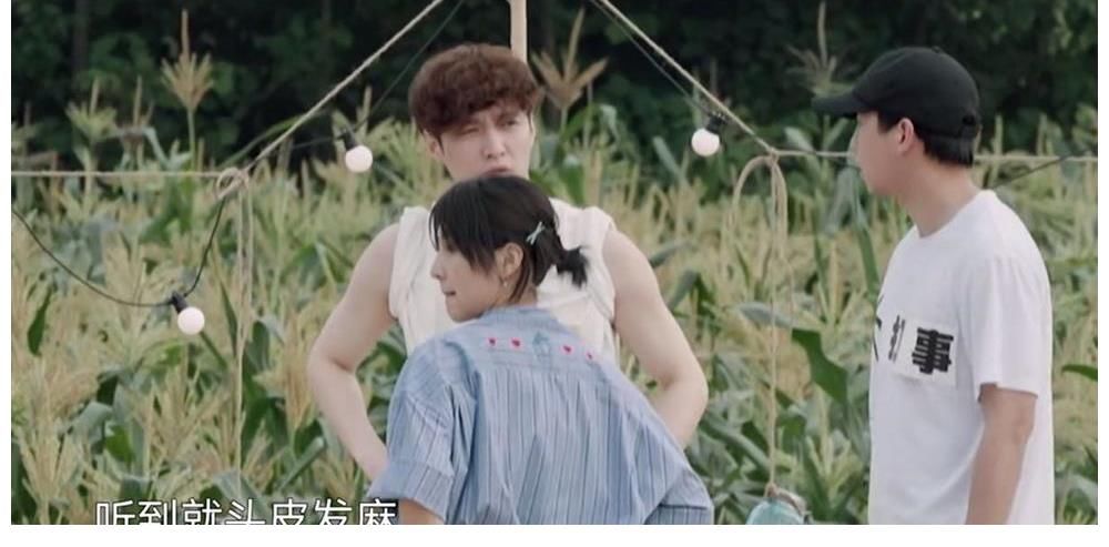 向往的生活|张艺兴灵感来的太快,对作品精益求精,让国家级的也夸赞不已!