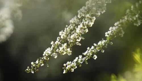 水瓶座|不够美,却常常有办法,让对方痴迷自己的星座,一个比一个优秀