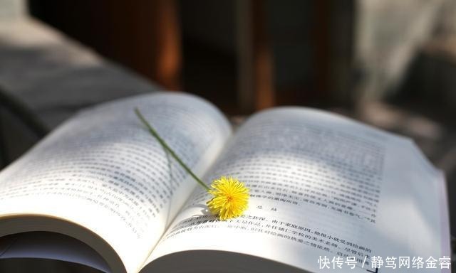  苏轼|腹有诗书气自华！知道这是苏轼名句的不少，但知道是夸谁的不多