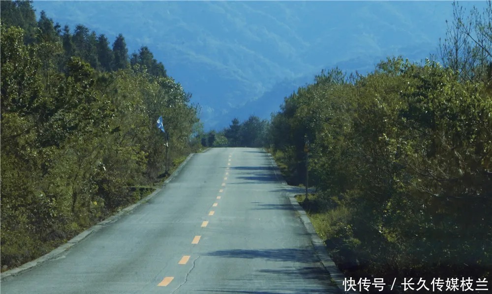 柔情蜜语|腾冲马站火山路上，花开浅夏醉清风