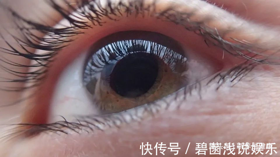 红苋菜|一两苋菜一两金!4种吃法解毒减脂、补钙益脑,胜过诸多大补药!