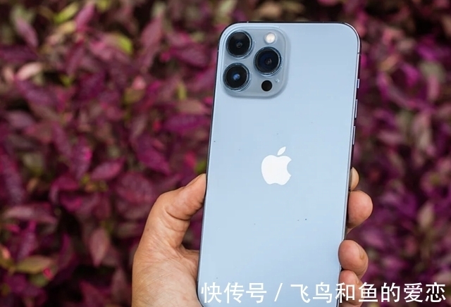 iPhone13Pro的问题开始出现，品控让某大V无法忍受，直接选择退货