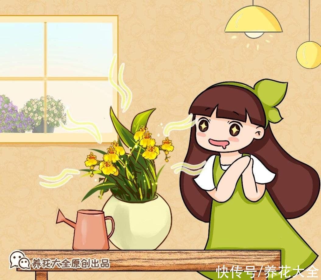 家里养组合香水花，一年四季都有香味，满屋子都飘香