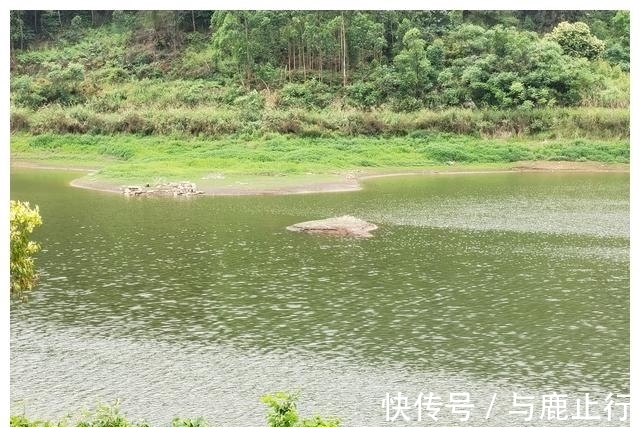 垂钓|一位优秀的钓鱼人!冬季垂钓!遇到“两阴夹一阳”!坚决不钓鱼