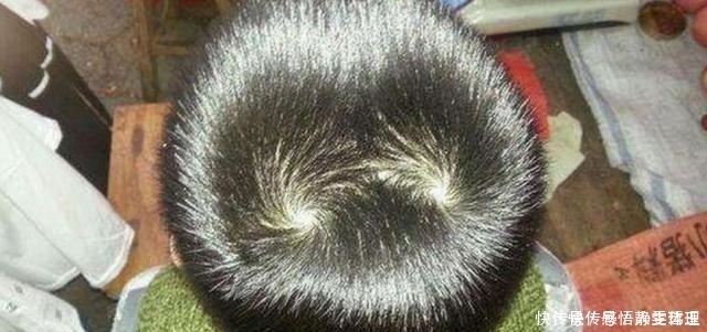 孩子头上的“旋”的个数，暗示孩子智商高低家长要了解真相