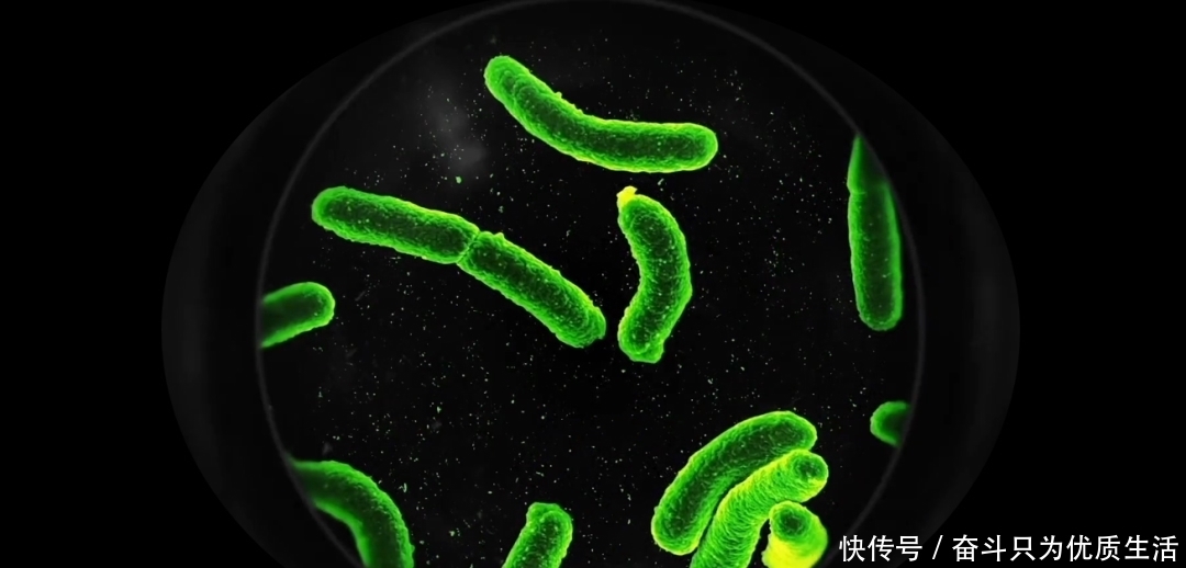 这个飞机上不去,卫星下不来的区域,成为了探索火星生命的天然实验室|林巍