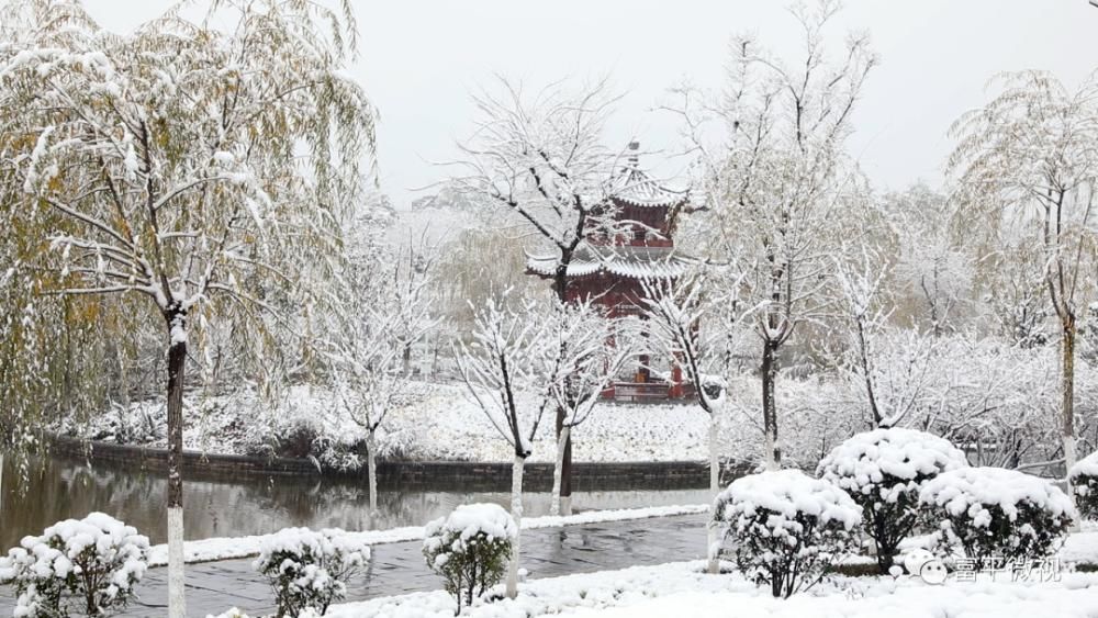 银装素裹|雪舞富平：银装素裹宛如仙境